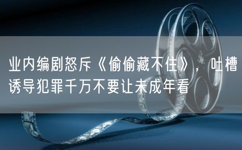 业内编剧怒斥《偷偷藏不住》，吐槽诱导犯罪千万不要让未成年看